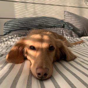 Meet your Posher, Haley